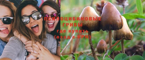прущие грибы Магадан