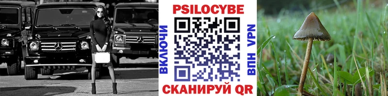 Галлюциногенные грибы прущие грибы  Отрадная 